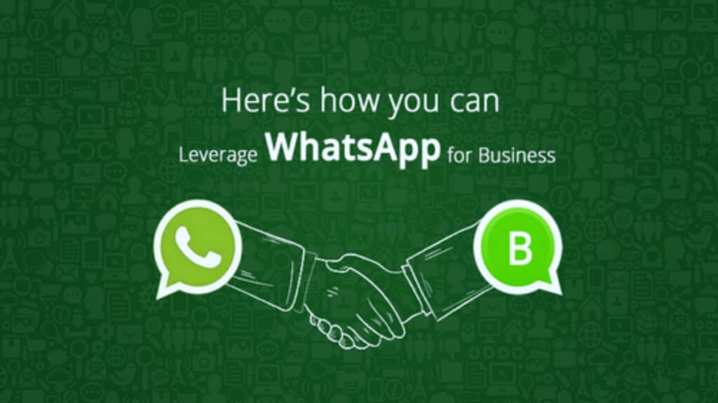 marketing whatsapp and profit 2023