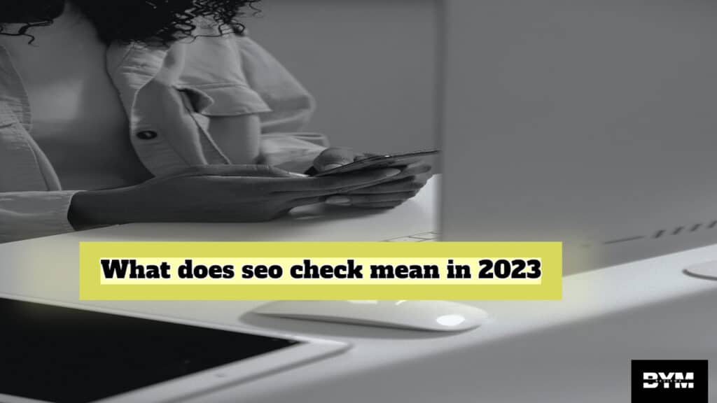 what-does-seo-check-mean-in-2023